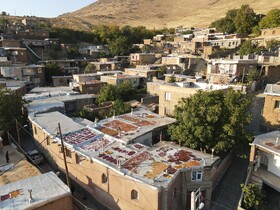 سومین جشنواره آلو حیدره‌ی قاضی خان