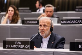 درخواست رسیدگی فوری اتحادیه بین‌المجالس جهانی به بازداشت همسر مادورو