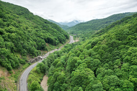 جاده جنگلی سوادکوه در استان مازندران