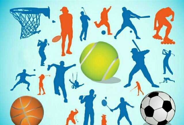 عکس تزئینی است درخشش ورزشکاران قم در المپیاد آمادگی جسمانی