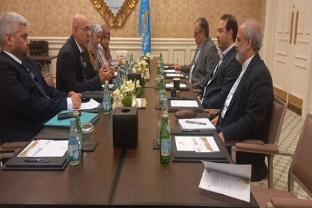 عکس دریافتی از وزارت بهداشت. گسترش همکاریهای ایران و عراق در حوزههای مختلف سلامت