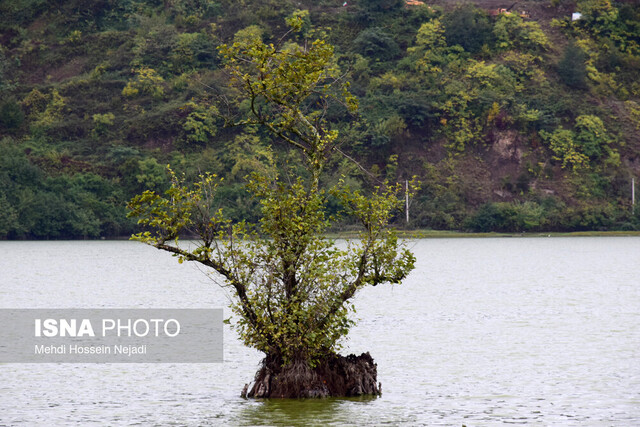تالاب استیل آستارا «شاهکار خلقت» نیازمند توجه بیشتر