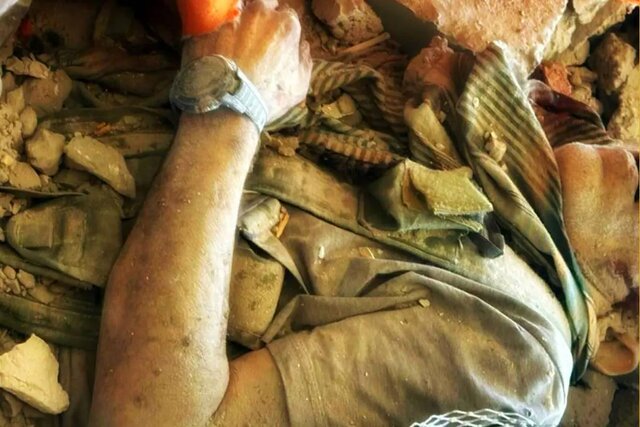 قفس ویران بهتر قفس ویران بهتر