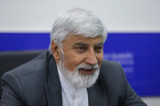 ترقی: دولت مدیری که موجب زیان است تشویق نکند/مردم در پرداخت مالیات جلوتر از برنامه‌اند