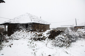 بارش برف پاییزی در روستای کوهپایه نشین اسپرز توابع سوادکوه استان مازندران