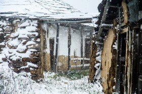 بارش برف پاییزی در روستای کوهپایه نشین اسپرز توابع سوادکوه استان مازندران