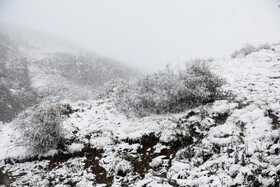 بارش برف پاییزی در روستای کوهپایه نشین اسپرز توابع سوادکوه استان مازندران