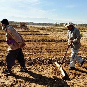 آشنایی باغداران با انواع خاک ضروری است