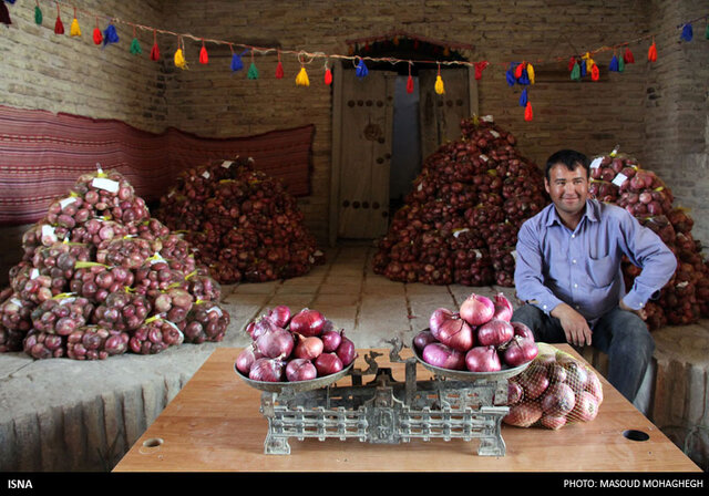 جشنواره گردشگری پیاز لاسجرد برگزار میشود