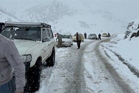 بارش برف و باران در ۱۲ استان کشور/ چالوس و هراز مسدود است