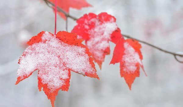 بارش برف و باران در اردبیل ادامه دارد