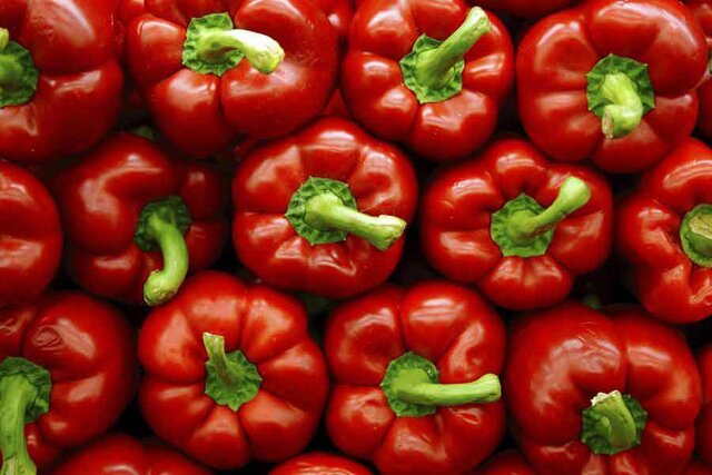 عکس تزئینی است ورود اولین بذرهای هیبرید فلفل دلمهای قرمز به بازار