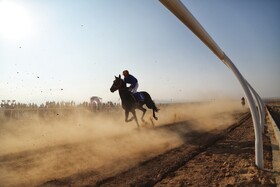 موافقت FEI با برگزاری کمپ تیم‌های ملی سوارکاری ایران در اروپا جهت کسب سهمیه المپیک