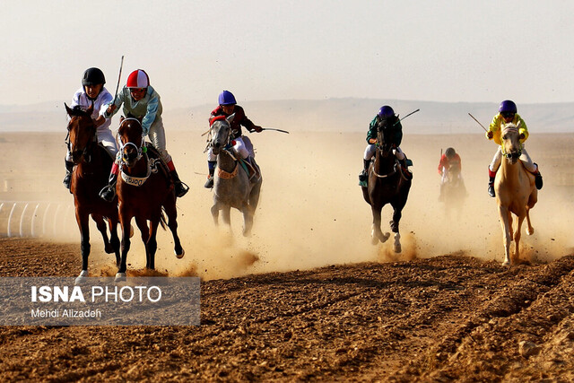 نامه عجیب فدراسیون سوارکاری به وزارت جهاد کشاورزی