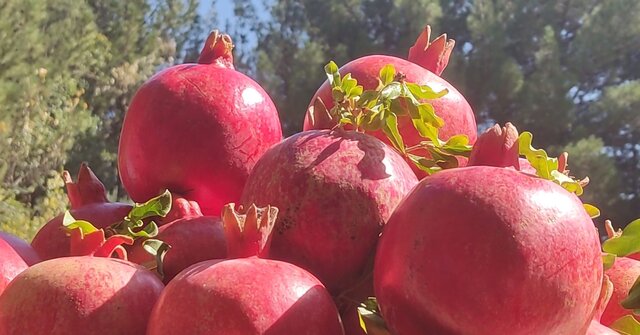 ناردانههای دُردانهای