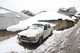 بارش برف در مناطق کوهستانی شهمیرزاد - استان سمنان