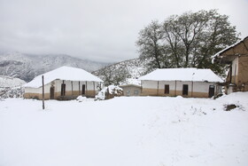 بارش برف در مناطق کوهستانی شهمیرزاد - استان سمنان