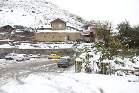 بارش برف در مناطق کوهستانی شهمیرزاد - استان سمنان