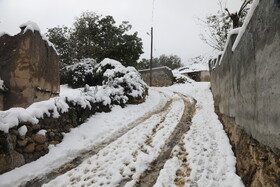 بارش برف در مناطق کوهستانی شهمیرزاد - استان سمنان