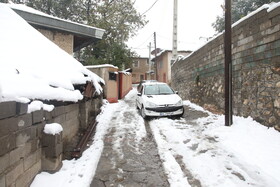 بارش برف در مناطق کوهستانی شهمیرزاد - استان سمنان