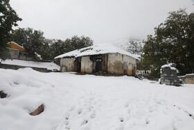 بارش برف در مناطق کوهستانی شهمیرزاد - استان سمنان