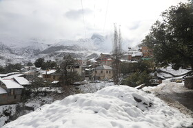 بارش برف در مناطق کوهستانی شهمیرزاد - استان سمنان