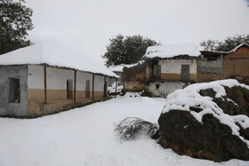 بارش برف در مناطق کوهستانی شهمیرزاد - استان سمنان