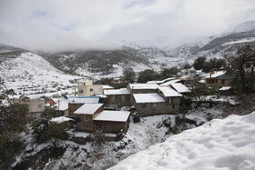 بارش برف در مناطق کوهستانی شهمیرزاد - استان سمنان