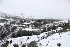 بارش برف در مناطق کوهستانی شهمیرزاد - استان سمنان