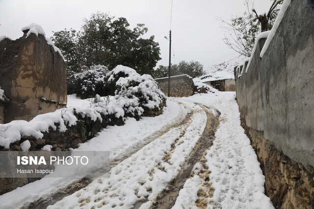 بارش برف در شهمیرزاد از بارندگی ۶۰ میلیمتری در کالپوش تا برف ۱۴ سانتیمتری در تاش
