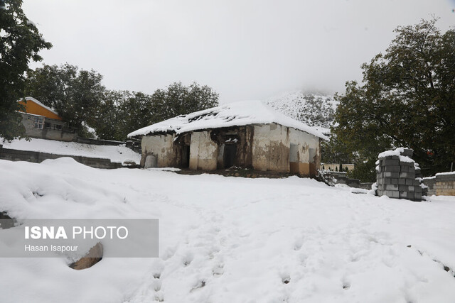 بارش برف - مناطق روستایی شهمیرزاد بیشترین بارشهای برف و باران در استان سمنان