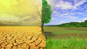 حدود ۴۰ درصد از سطح زمین، عنوان «تخریب‌شده» گرفته است