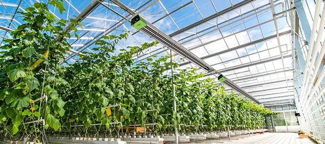 عکس تزئینی است تامین منابع زیرساختی در حوزه گازرسانی امری ضروری است