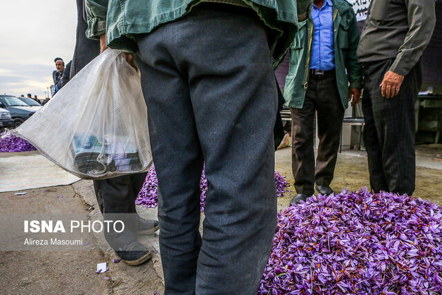 جادوی زعفران فراتر از طعم و بوی است