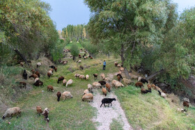 شهرستان خوی - آذربایجان غربی