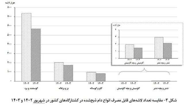 بیش از ۳۳ هزار تن گوشت قرمز عرضه شد