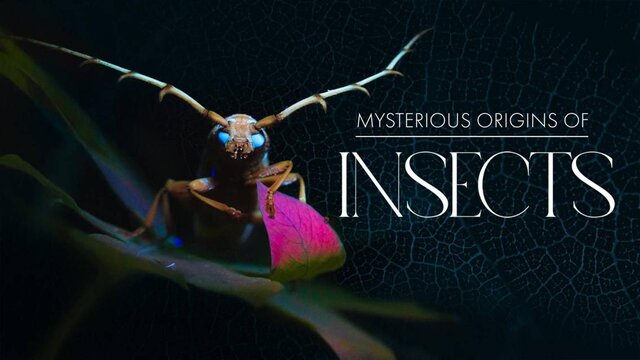 تلویزیون چه فیلم و سریالهایی را برای پخش دوبله کرد؟