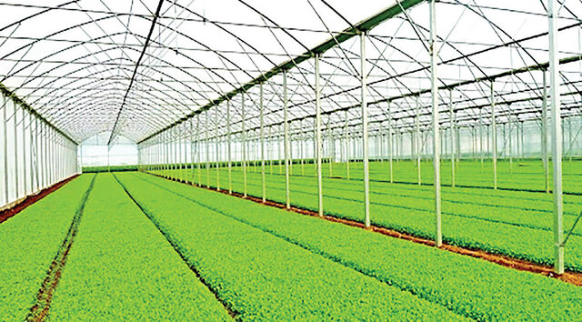 معاون استاندار خوزستان:  شهرکهای کشاورزی زیرساخت تحقق کشاورزی نوین هستند معاون استاندار خوزستان:  شهرکهای کشاورزی زیرساخت تحقق کشاورزی نوین هستند