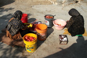 انارستان تنگ سیاب در کوهدشت لرستان