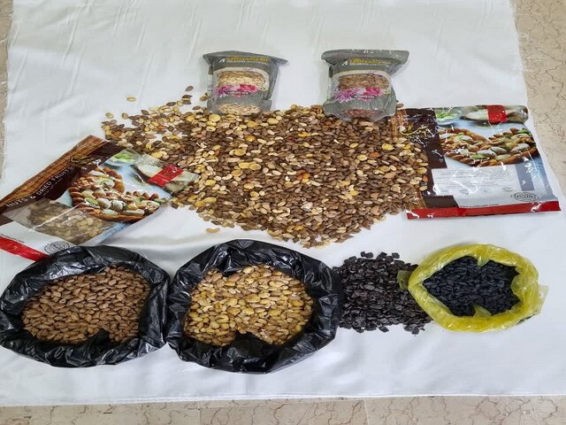 عکس دریافتی از خبرگزاری پلیس. کشف تریاک در بستههای آجیل
