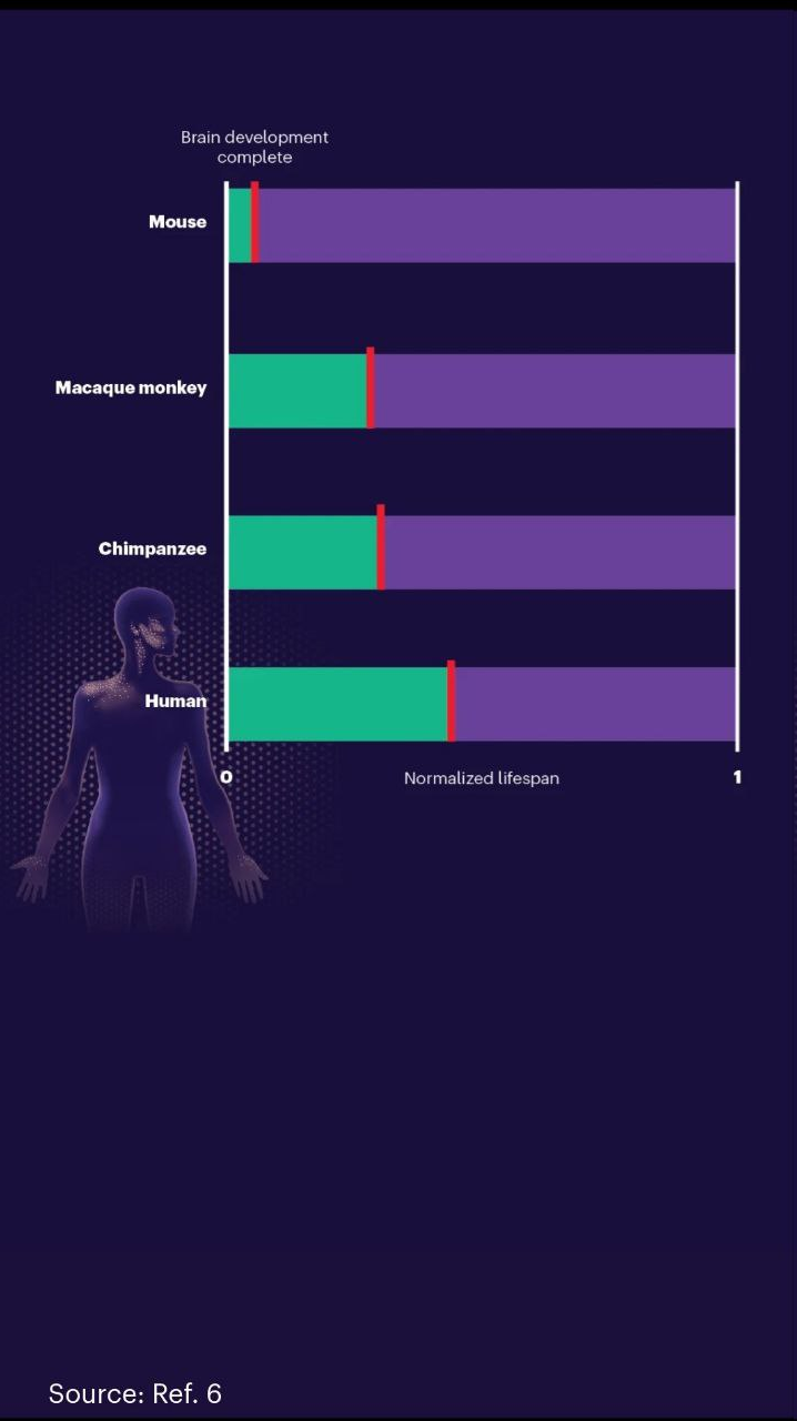 تواناییهای شگفتانگیز مغز انسان که آن را بین تمام موجودات خاص کرده است