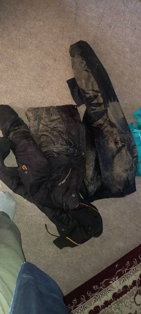 حمله سگهای ولگرد به یک دانش آموز