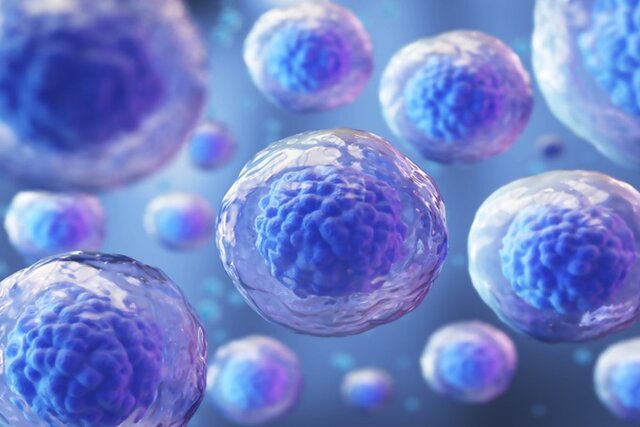 کن ورود داروی ایرانی سلولی برای بیماران پیوند مغز استخوان به بازار تا زمستان