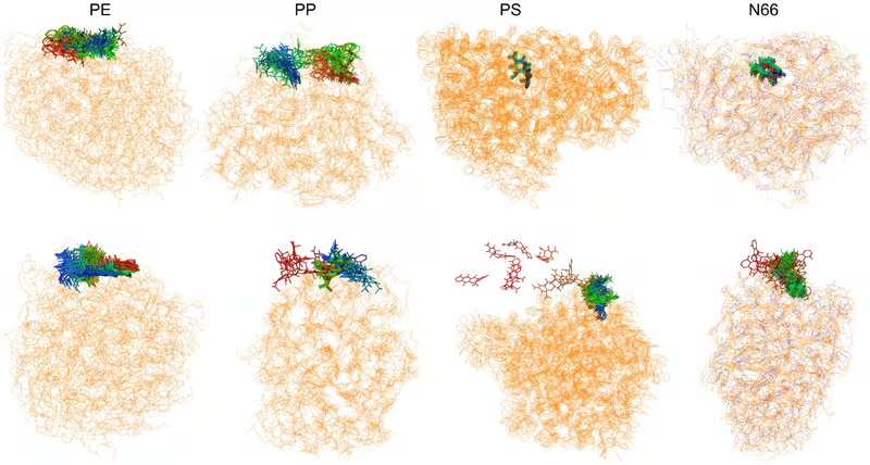 نانوپلاستیکها میتوانند آنتی بیوتیکها را کم اثر کنند