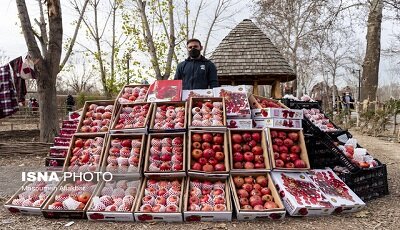 "۱۰۰ دانه یاقوت؛ دسته به دسته در دست دلال"