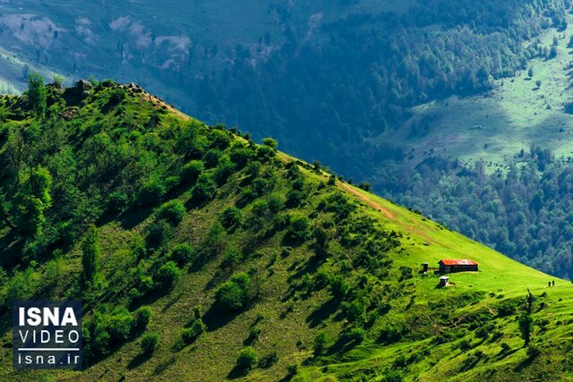 ویدیو/ افسانه سیاگالش؛ حافظ زیست بوم کوهستانهای گیلان ویدیو/ افسانه سیاگالش؛ حافظ زیست بوم کوهستانهای گیلان