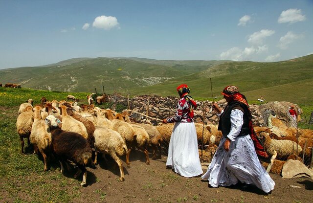 پوشش بیمه‌ای۸۶۰۰ زن سرپرست خانوار روستایی و عشایر/ آمادگی صندوق عشایر برای پوشش بیمه‌ای تمامی سرپرستان خانوار