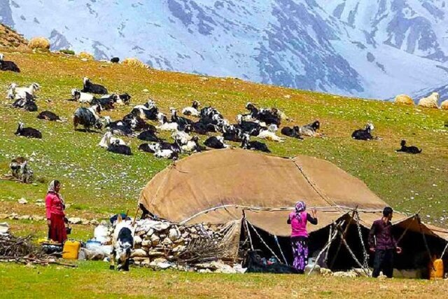 عشایر خراسان شمالی در کوچ به مناطق قشلاقی شتاب نکنند