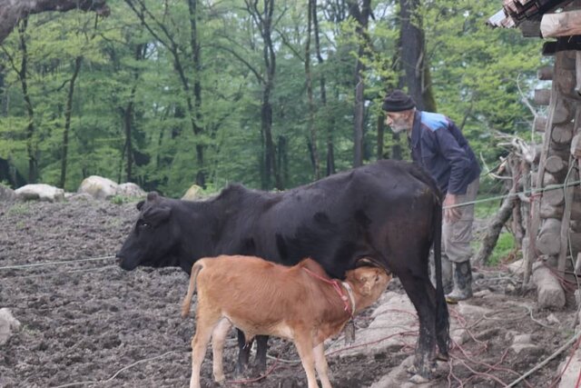 چالشهای ساخت مستندی که به جشنواره تلویزیونی مستند راه یافت