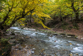 پائیز منطقه کوهستانی فریم صحرا  - استان مازندران